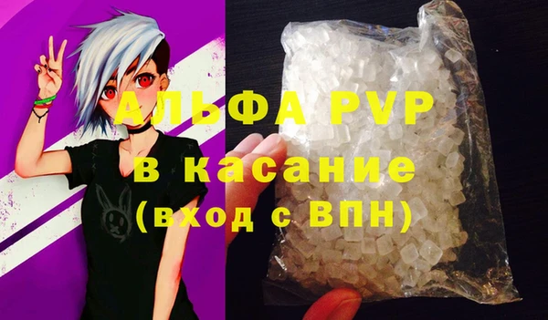 стаф Россошь