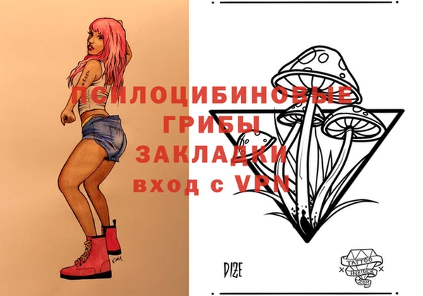 гидра Аркадак