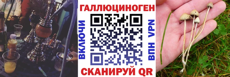 Галлюциногенные грибы Cubensis omg tor Болгар купить закладку